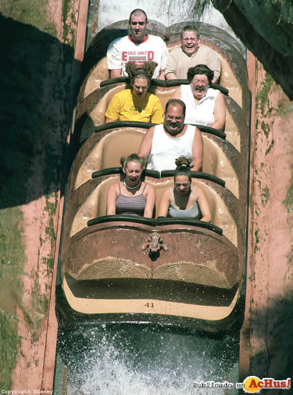 Imagen de Magic Kingdom (Orlando)  Tronco Splash Mountain